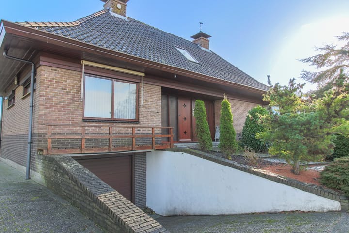 Foto 12 van Kwikstaart 5