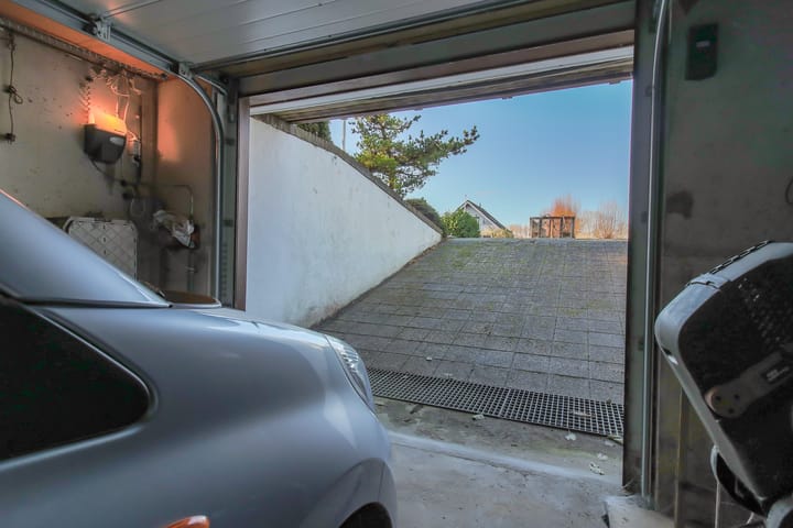 Foto 30 van Kwikstaart 5