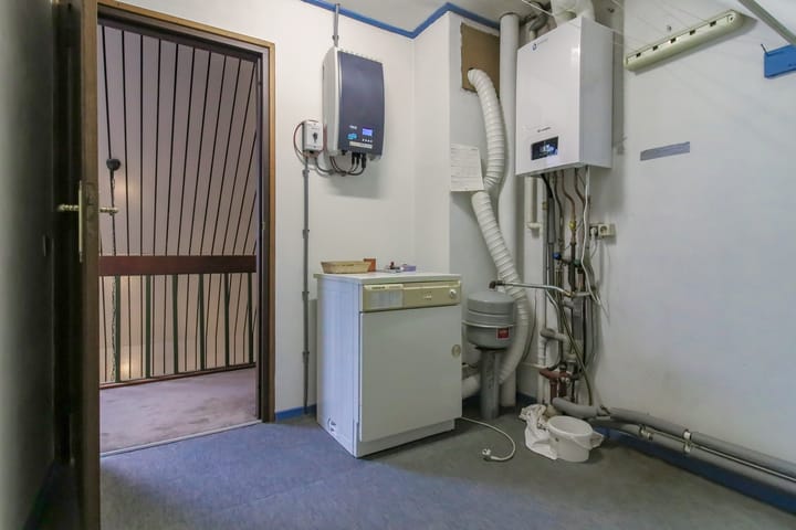 Foto 50 van Kwikstaart 5