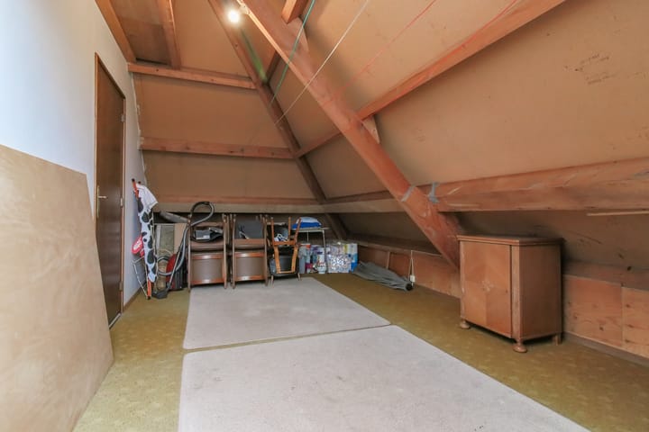 Foto 51 van Kwikstaart 5