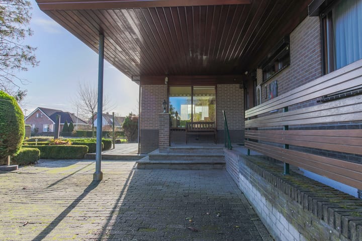 Foto 55 van Kwikstaart 5