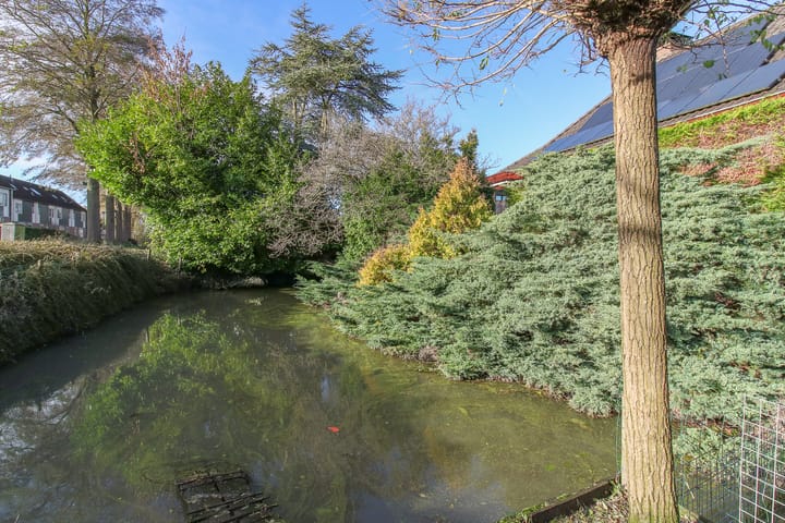 Foto 59 van Kwikstaart 5