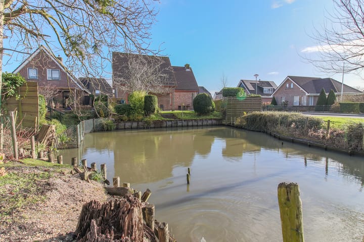 Foto 60 van Kwikstaart 5