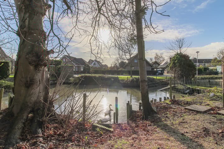 Foto 61 van Kwikstaart 5