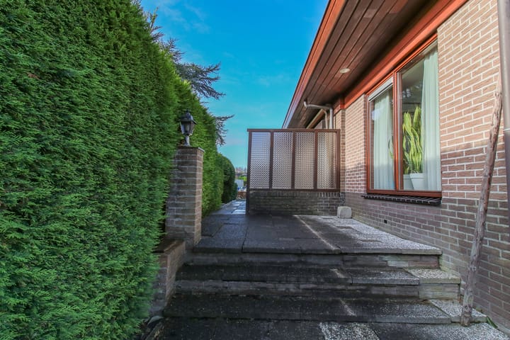 Foto 62 van Kwikstaart 5