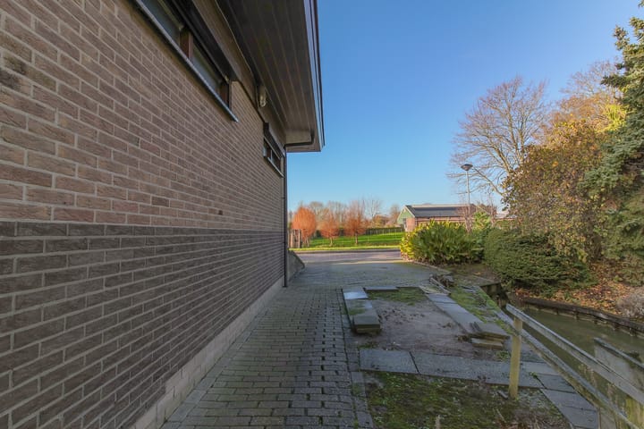 Foto 63 van Kwikstaart 5