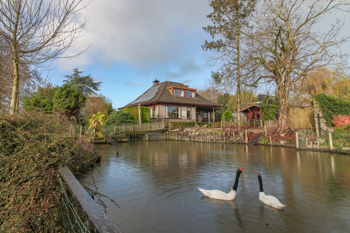 Foto 68 van Kwikstaart 5