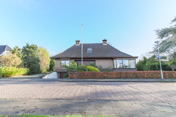 Foto 69 van Kwikstaart 5