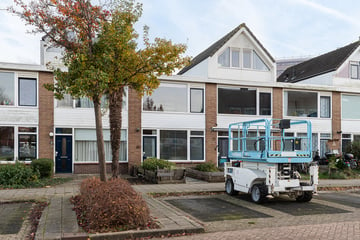 Zonnebloemstraat thumbnail