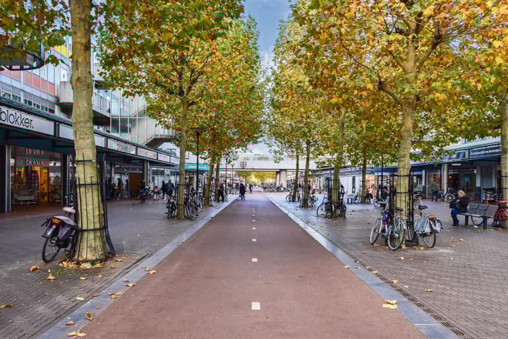 Foto 22 van Papendrechtstraat 11