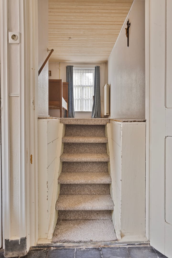 Foto 24 van Dorshout 1