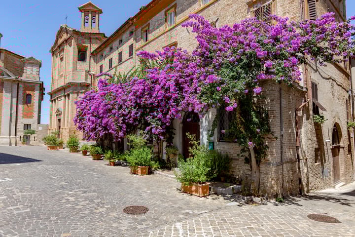 Photo 29 of Viale degli Eroi 78