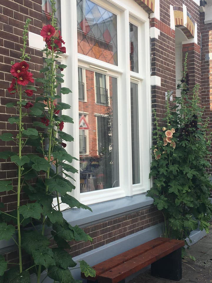 Photo 27 of Trompstraat 12