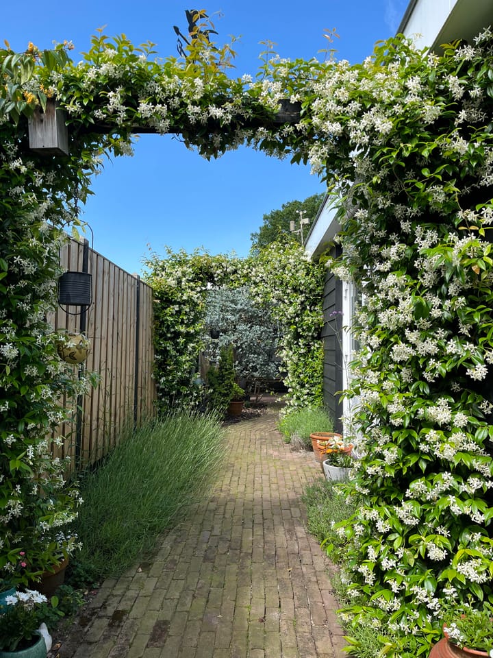 Photo 28 of Trompstraat 12