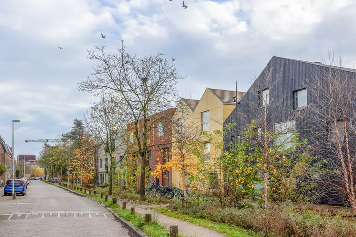 Bekijk foto 40 van Amsterdamsestraatweg 169-D