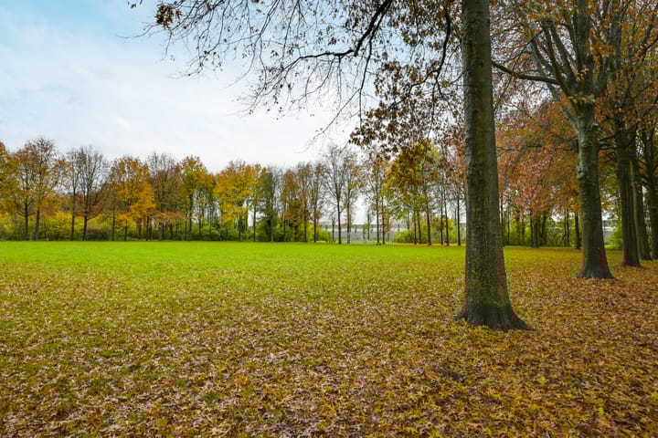 Foto 33 van Valkenkamp 706