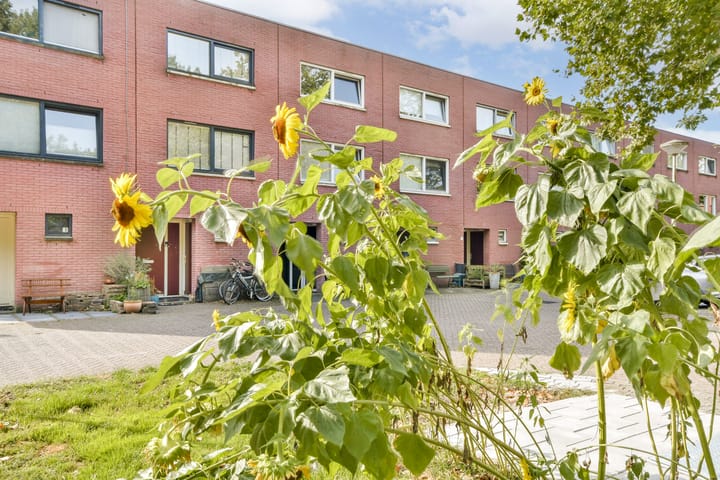 Foto 23 van Lange Vonder 14