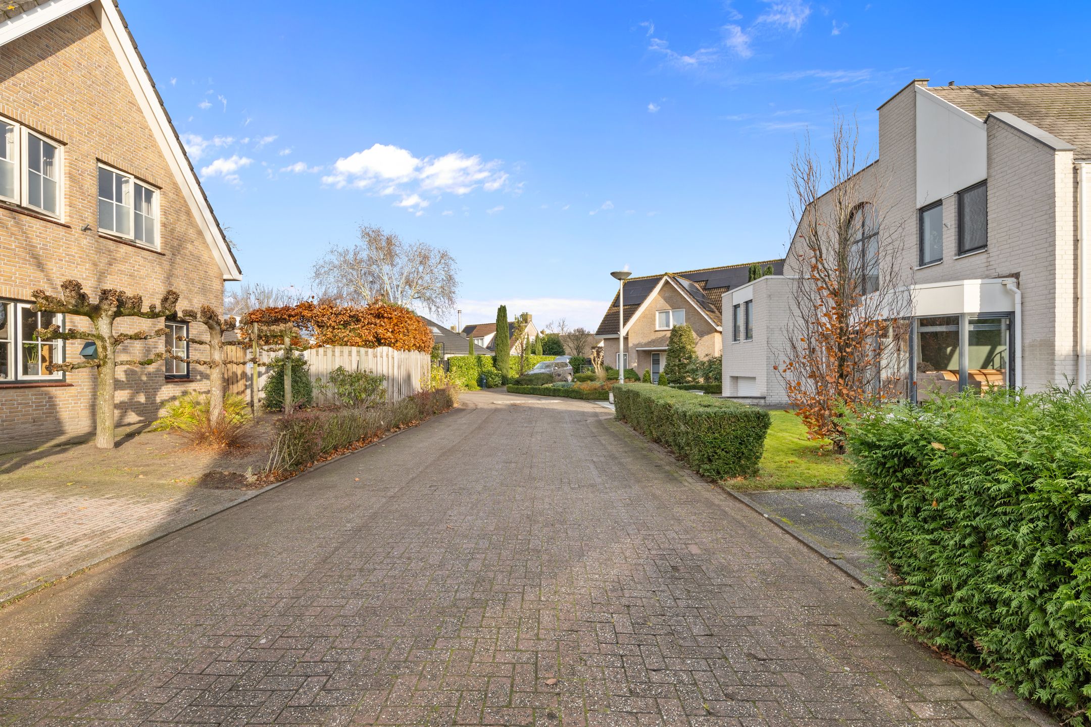 Foto 51 van Freesiaberg 3