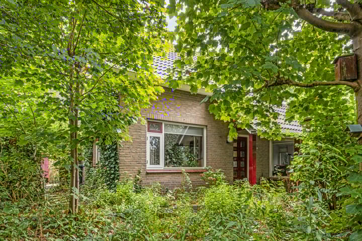 Foto 50 van Lariestraat 36-A