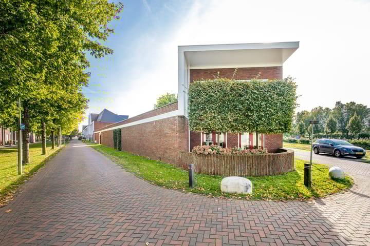 Foto 3 van Bundelzwam 27