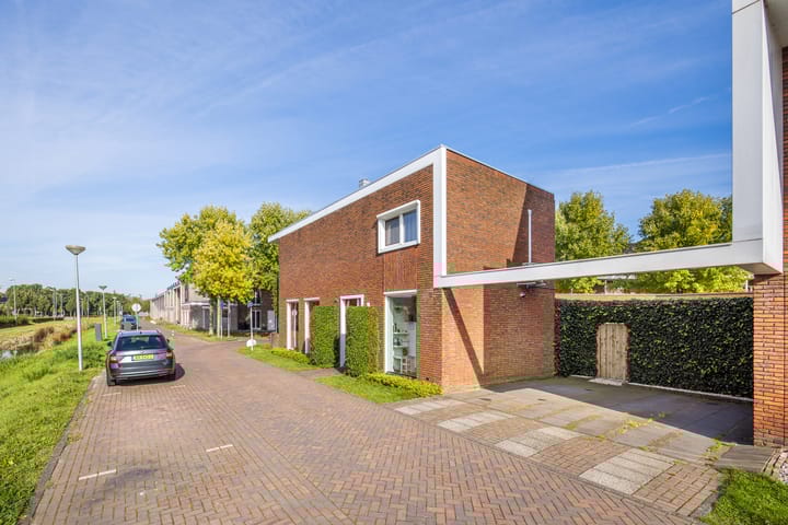 Foto 4 van Bundelzwam 27