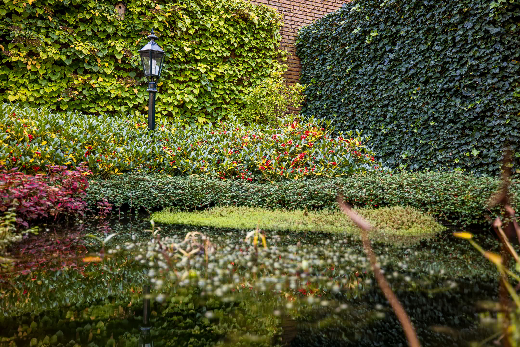 Foto 18 van Bundelzwam 27