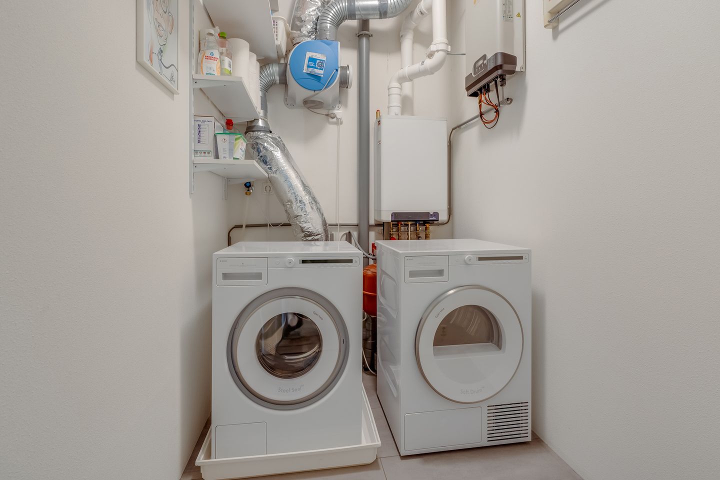 Foto 29 van Bundelzwam 27