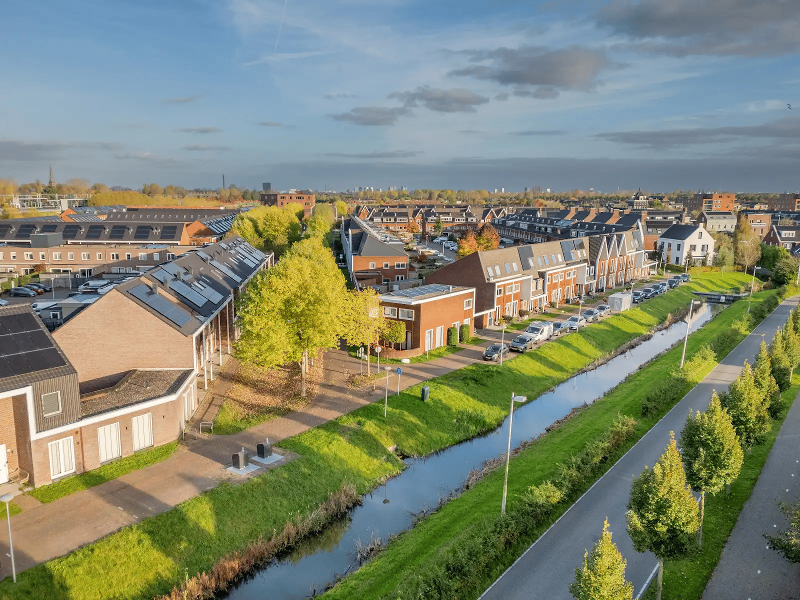 Foto 30 van Bundelzwam 27