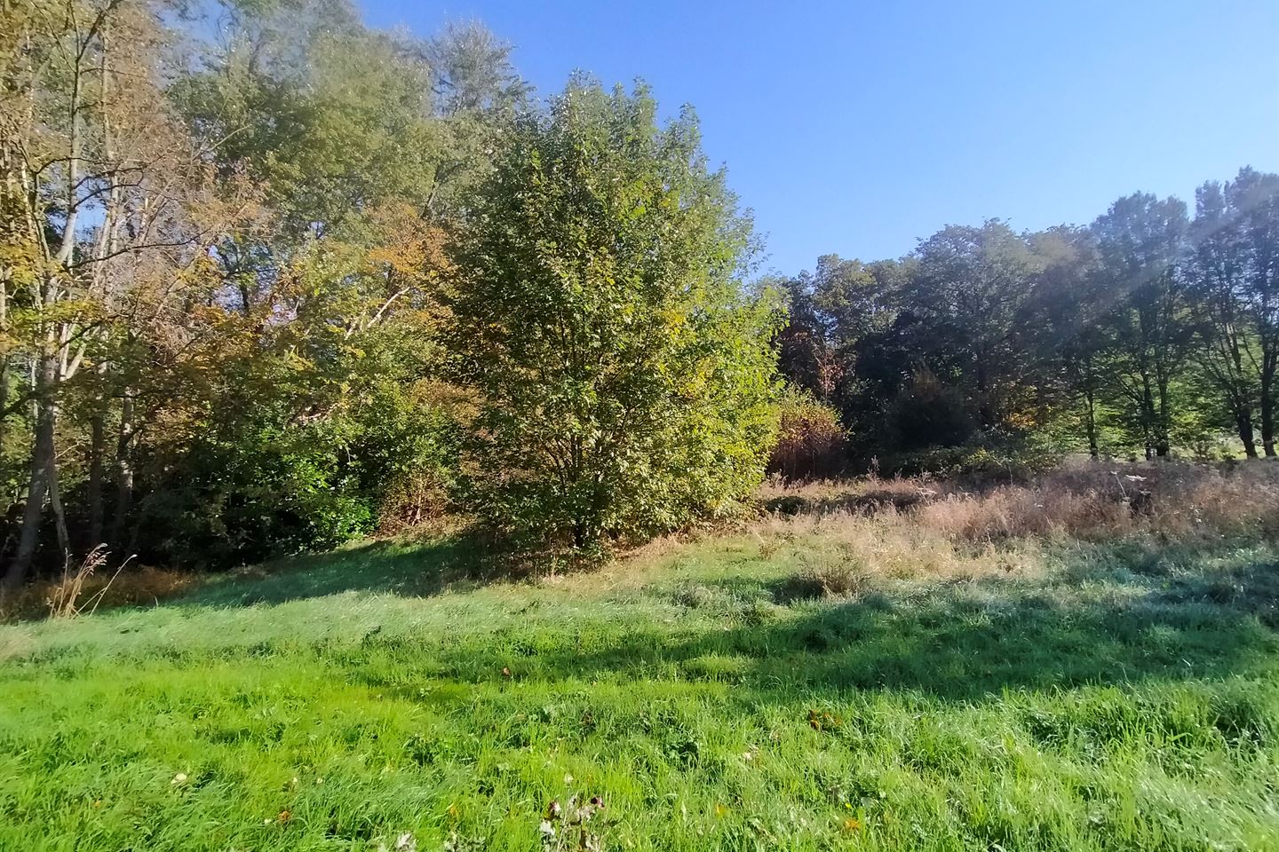 Bekijk foto 3 van Chaamseweg-Hazenberg