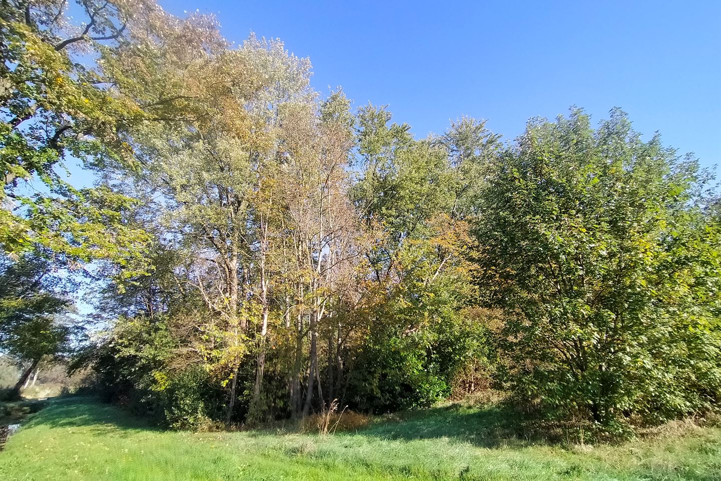 Bekijk foto 4 van Chaamseweg-Hazenberg