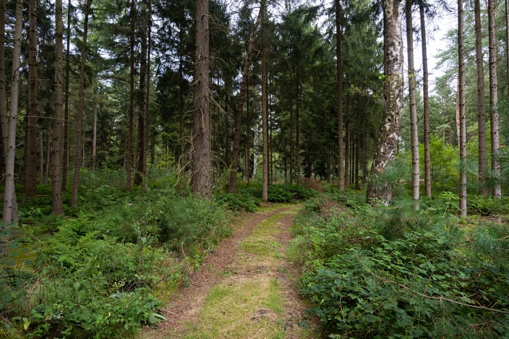 Photo 66 of Lochemseweg 31