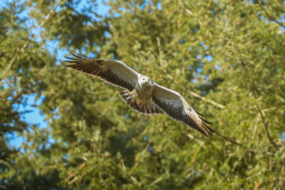 Photo 67 of Lochemseweg 31