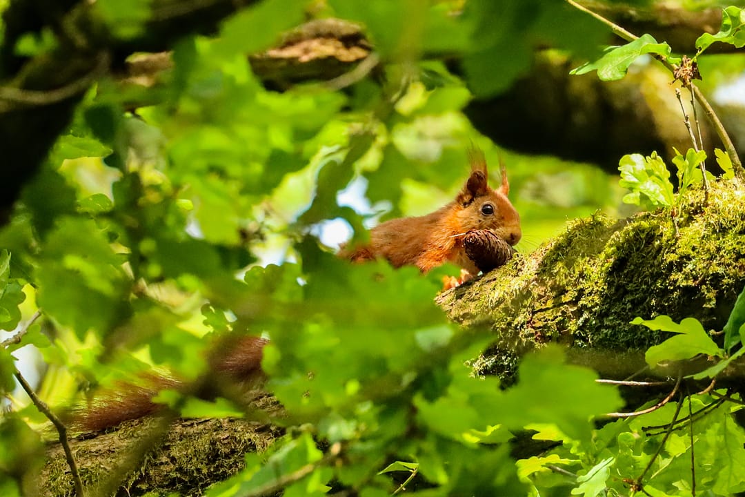 Photo 68 of Lochemseweg 31