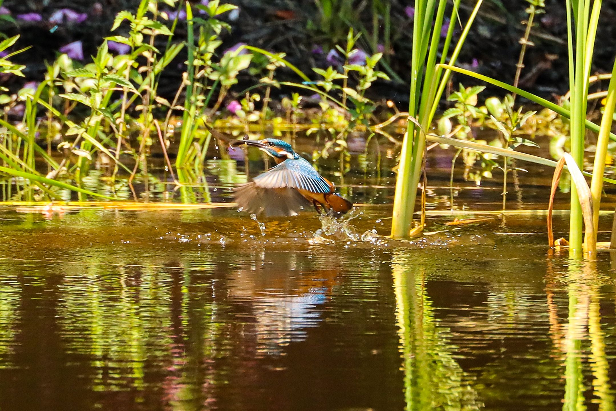 Photo 69 of Lochemseweg 31