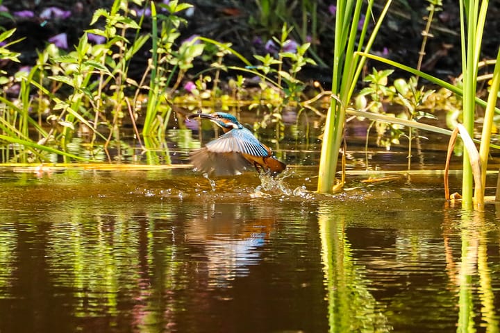 Photo 69 of Lochemseweg 31