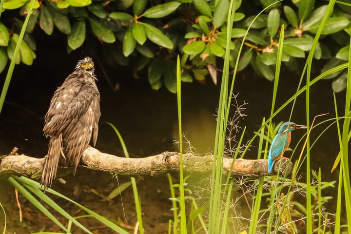 Photo 70 of Lochemseweg 31