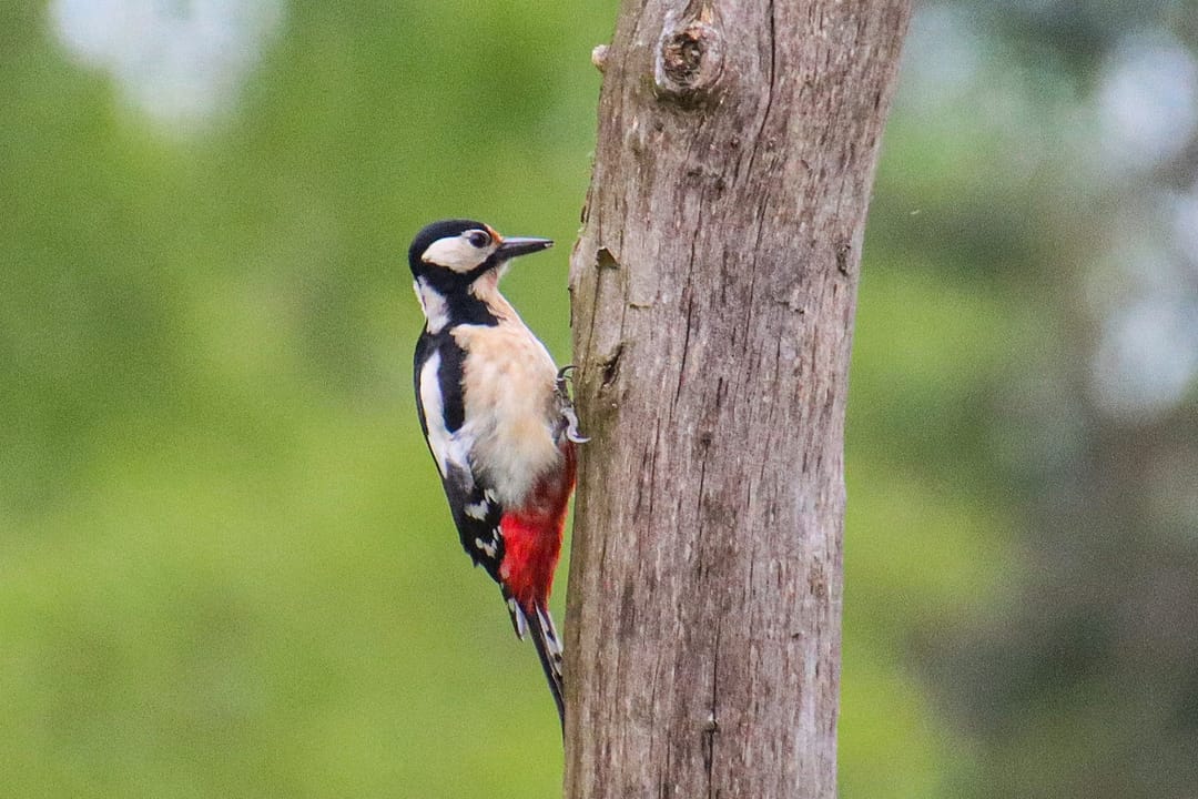 Photo 71 of Lochemseweg 31