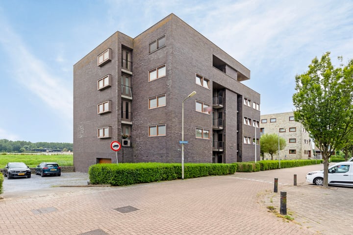 View photo 54 of L. Springerstraat 152