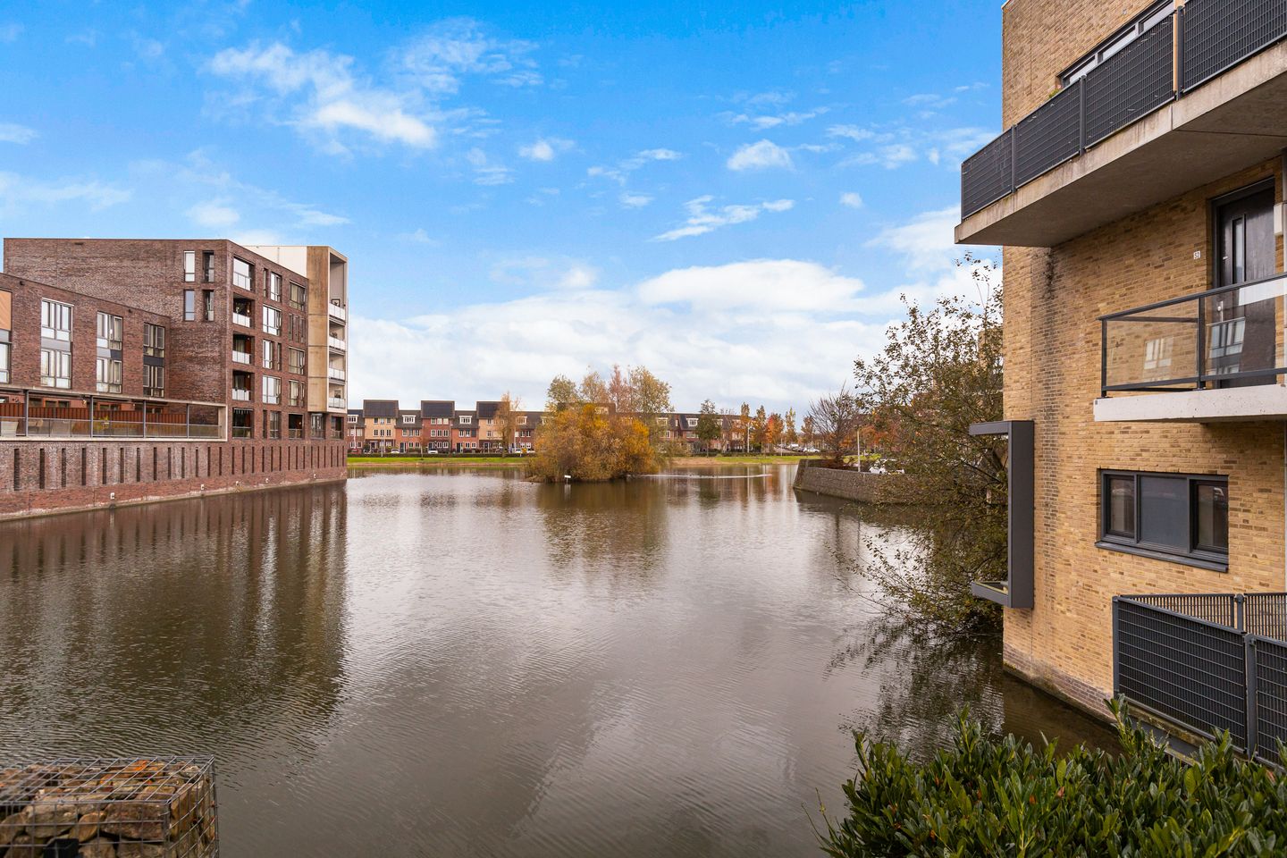 Foto 49 van Windhalm 43