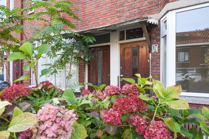 Foto 2 van Trembleystraat 19