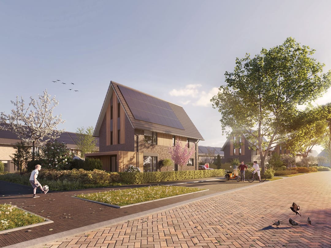 Foto 1 van Duizendpoot (Bouwnr. 71)