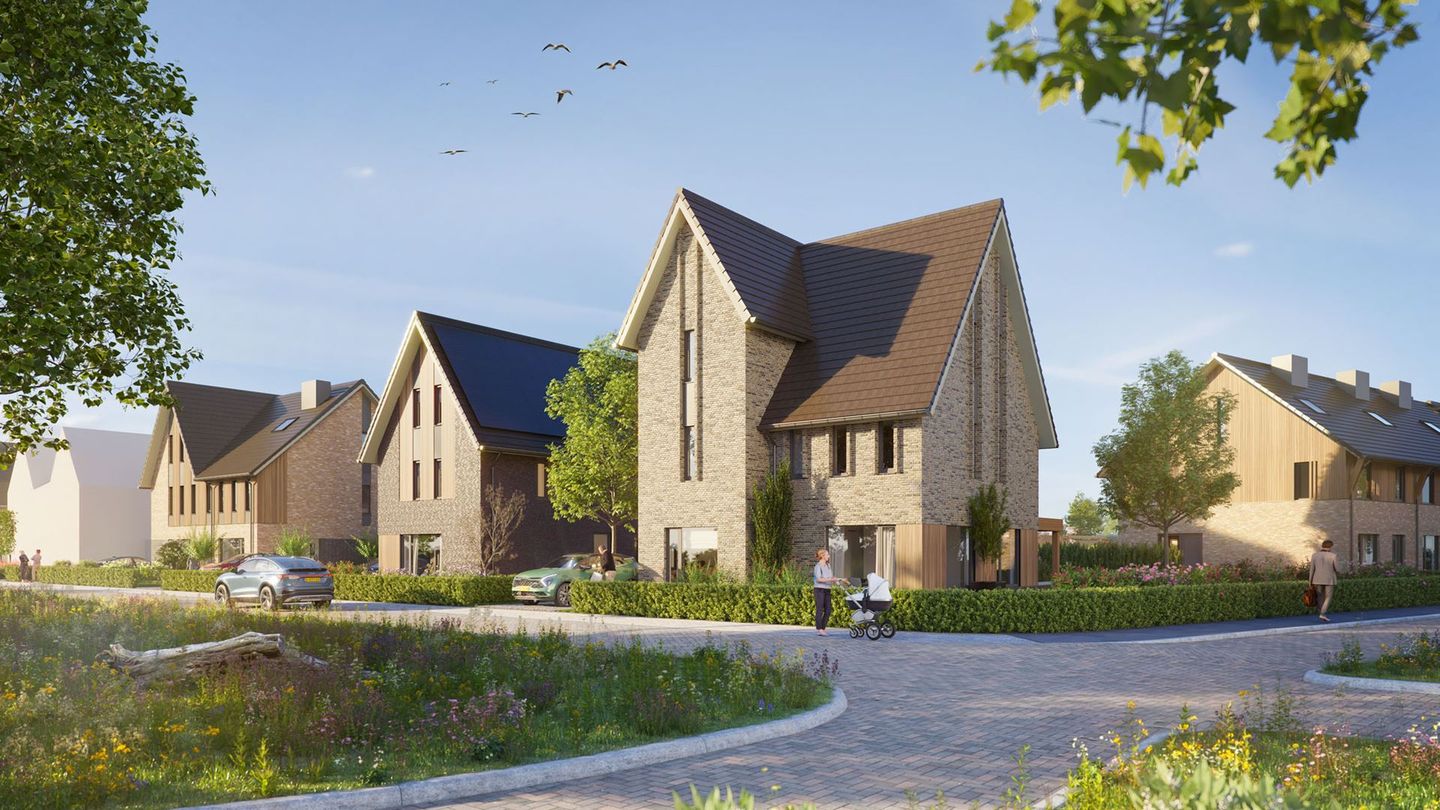 Foto 4 van Duizendpoot (Bouwnr. 71)