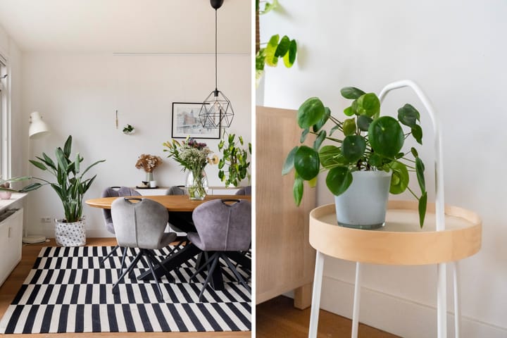 Foto 28 van Paetsstraat 29-C