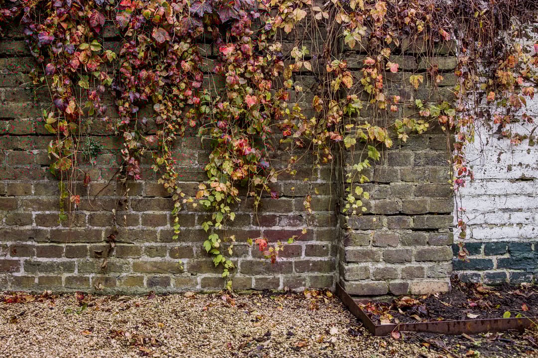 Foto 23 van Pierre Cuypersstraat 30