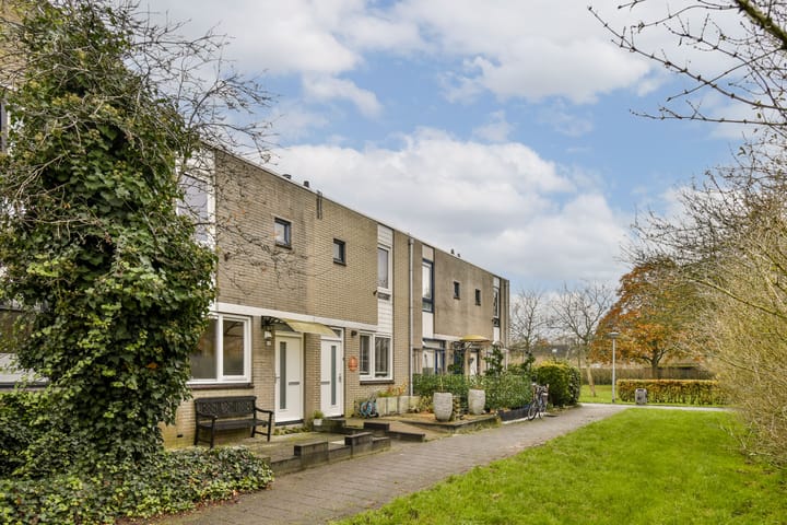 Foto 1 van Blauwe Druifjesstraat 4