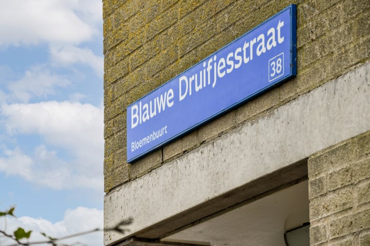 Bekijk foto 23 van Blauwe Druifjesstraat 4