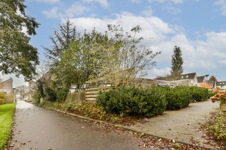 Foto 26 van Blauwe Druifjesstraat 4