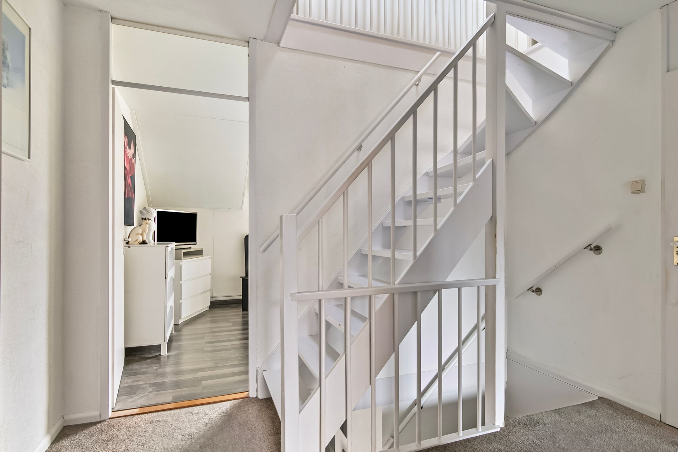 Photo 21 of Punter 78