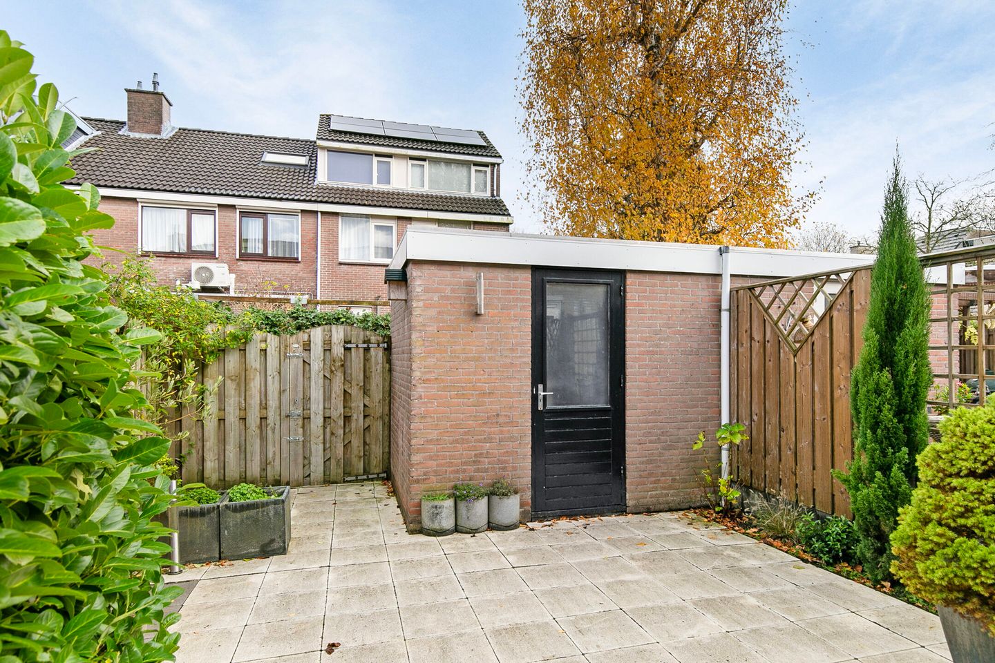 Photo 25 of Punter 78