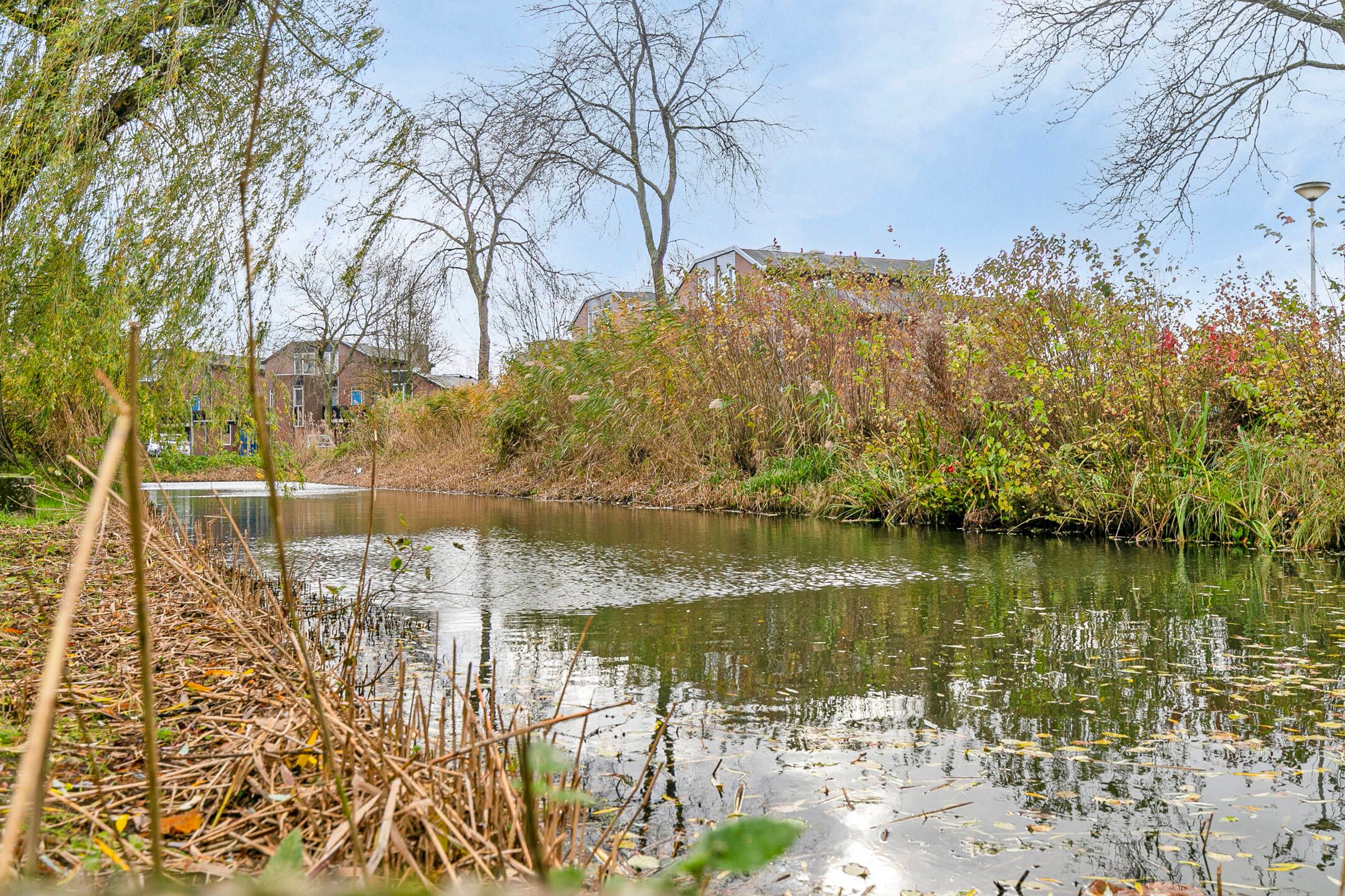 Photo 30 of Punter 78